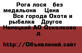 Рога лося , без медальона. › Цена ­ 15 000 - Все города Охота и рыбалка » Другое   . Ненецкий АО,Осколково д.